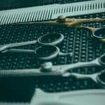 come affilare le forbici di tutti i tipi